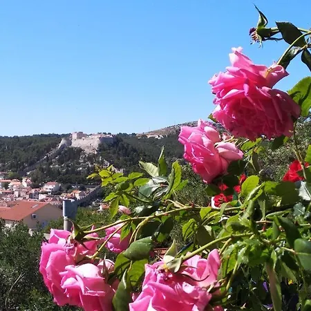 Antea Hvar * Hvar Town